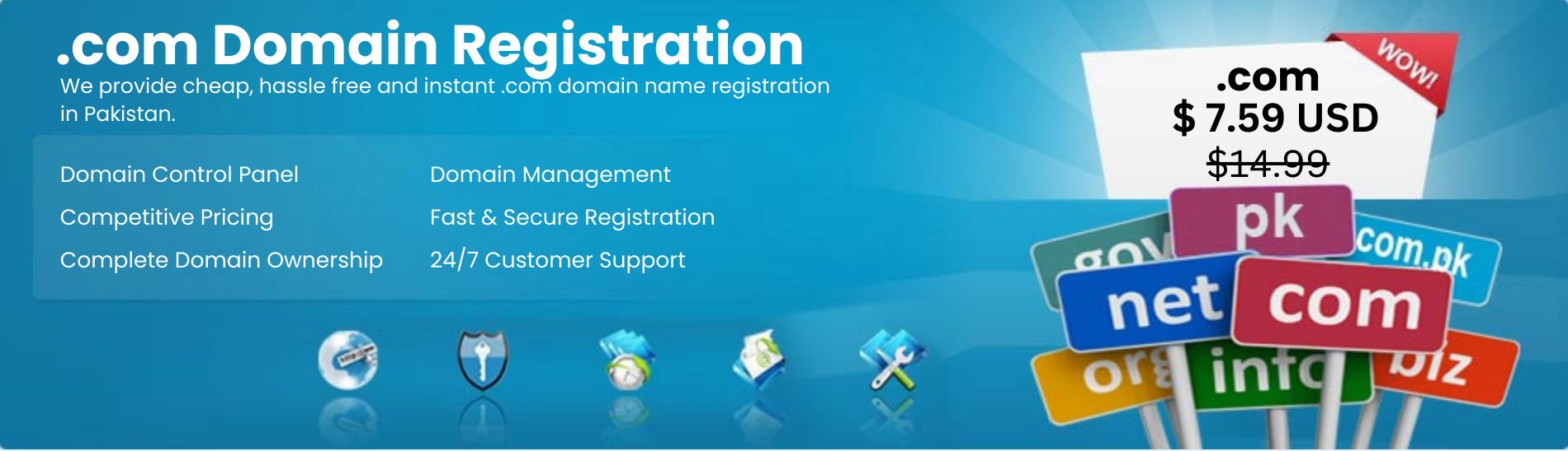Web Domian banner